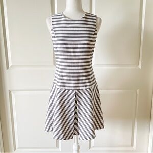 Theory Striped Drop Waist Pleated Sleeveless Cotton Dress Size 6